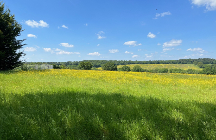 Green belt