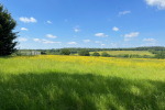 Green belt