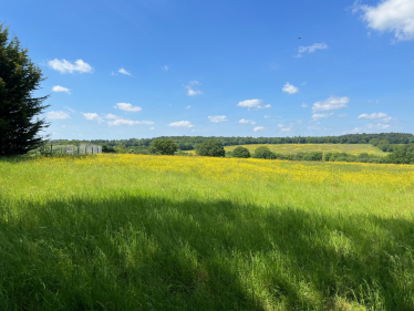 Green belt
